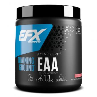 EFX Training Ground EAA - 213 g 
